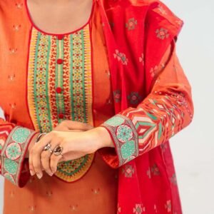 Brick Red Cotton Printed & Hand Embroidered Salwar Kameez Set