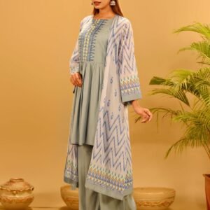 Georgette Coaty Comes with Silk top & Pant